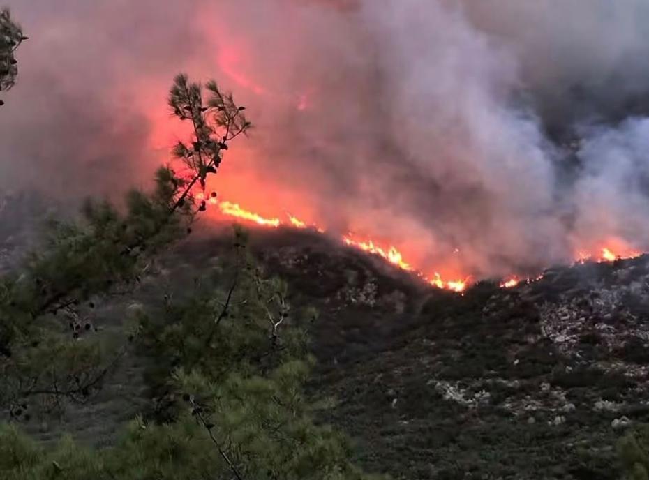 Antalya Kaş'ta Genişleyen Orman Yangınına Müdahale Devam Ediyor