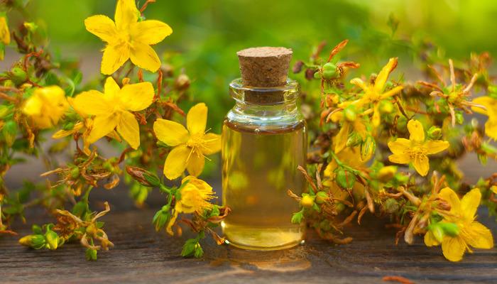 Sarı kantaron yağının faydaları nelerdir, ne işe yarar?  St. John’s wort yağı yüze uygulanabilir mi?