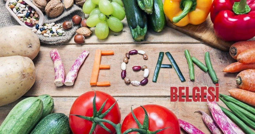 Vegan Sertifikası İçin Gereken Belgelendirme Süreçleri