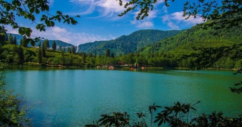 Artvin, Artvin – Hayata dair son haberler