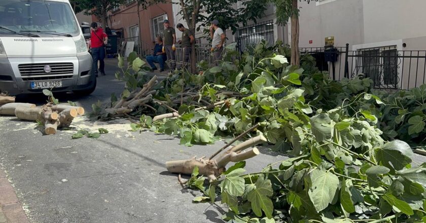 İstanbul’da fırtına: Ağaçlar devrildi, iki kişi yaralandı