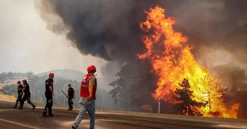 Bakan Yumaklı açıkladı: Orman yangınlarında ölenler ‘şehit’ sayılacak – Son Dakika Türkiye Haberleri
