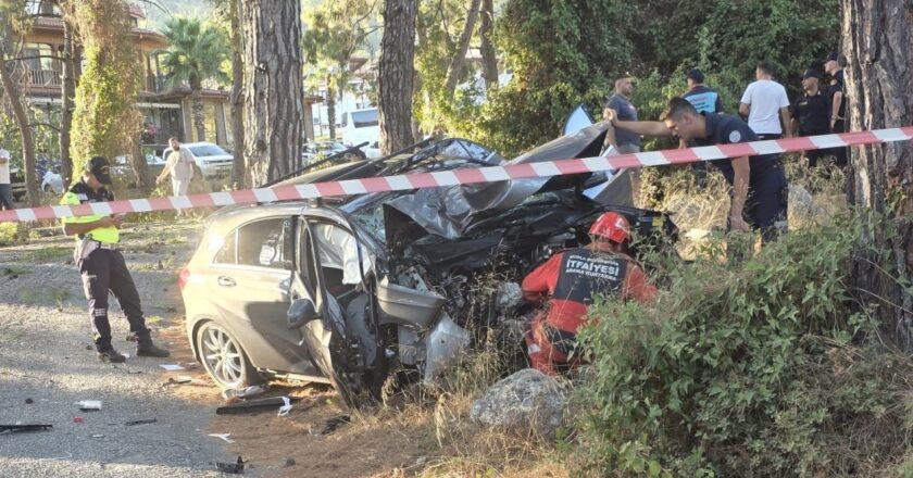 Muğla’da otomobil ağaca çaptı: 1 ölü