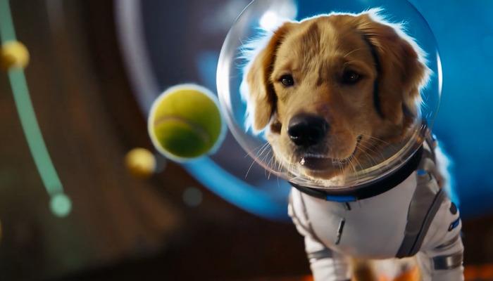 TikTok rakibi: OpenAI, Sora uygulamasını duyurdu! Yeni Sora 2 modeli de tanıtıldı