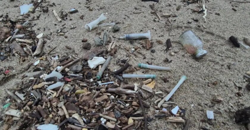 Denizin rengi değişti, sahile tıbbi atıklar vurdu! – Son Dakika Türkiye Haberleri