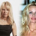 Pamela Anderson, köklerine dönüş kararı aldı!